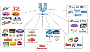 UNILEVERE COMPANY MARKETING STRATEGY